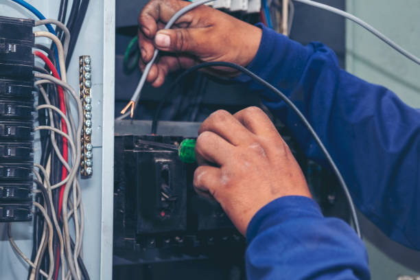 Best Affordable Electrician  in Grand Haven, MI